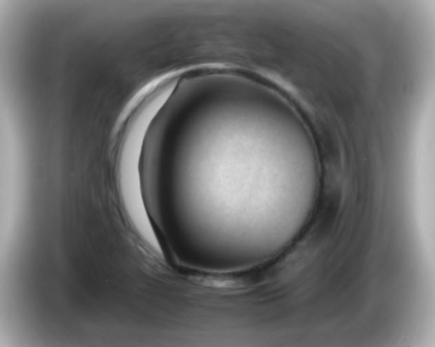 X0000086041319200704091143