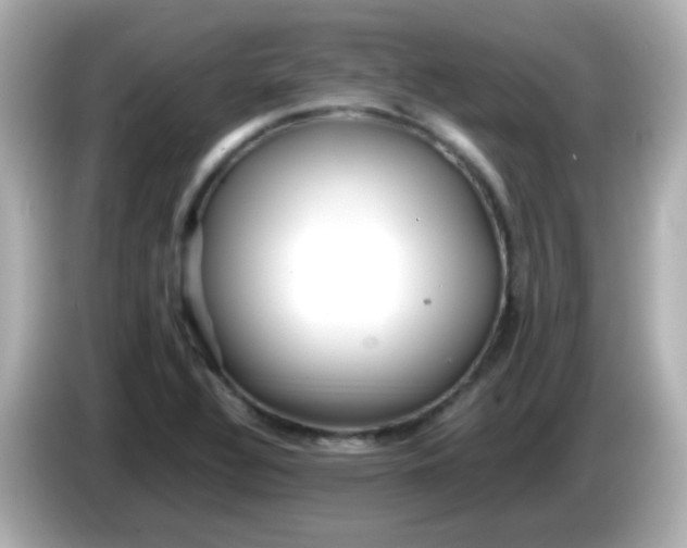 X0000086041320200704091143