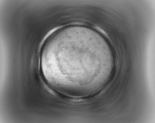 X0000086041323200704091143