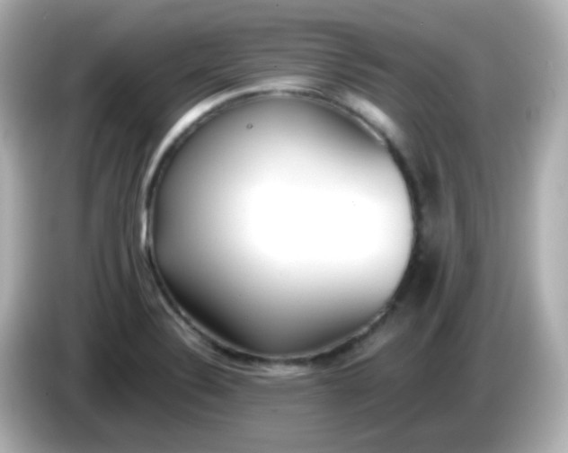 X0000086041324200704091143