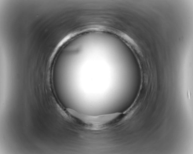 X0000086041326200704091143