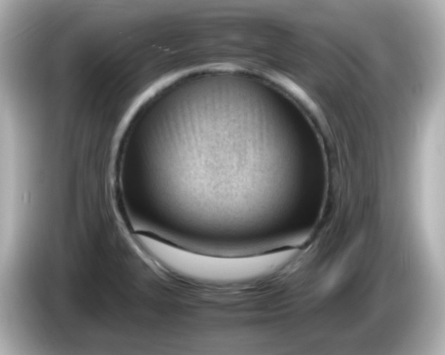 X0000086041327200704091143