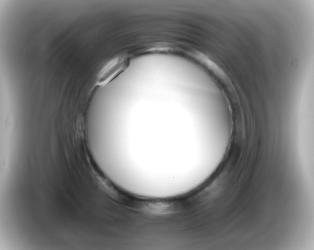 X0000086041329200704091143