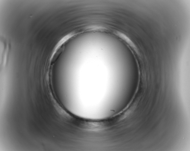 X0000086041330200704091143