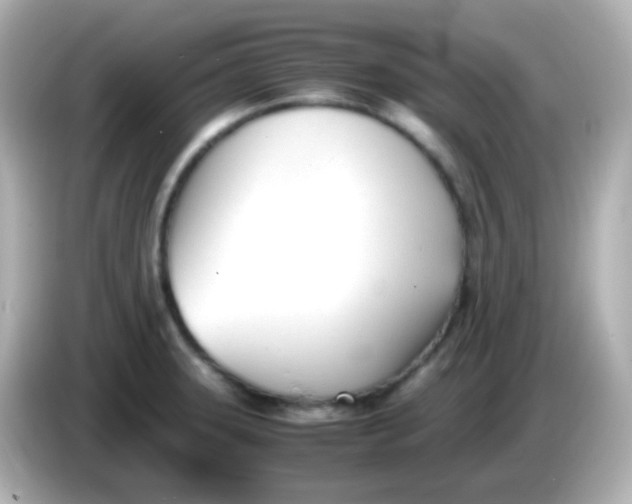 X0000086041331200704091143