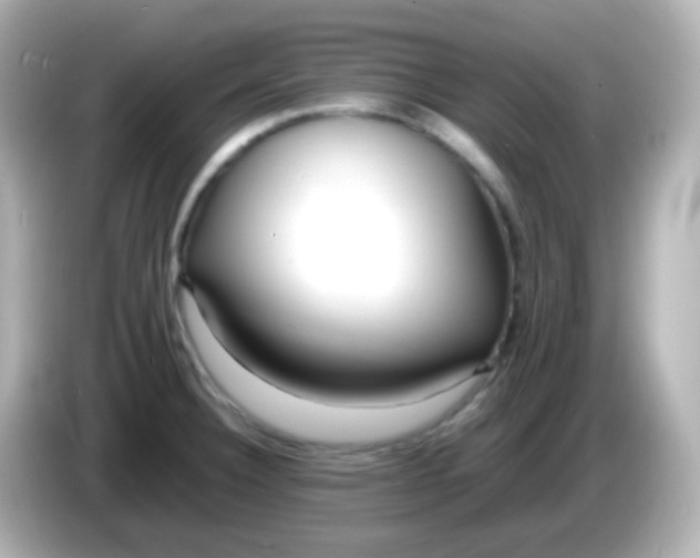 X0000086041332200704091143