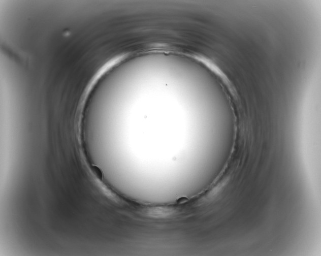 X0000086041333200704091144