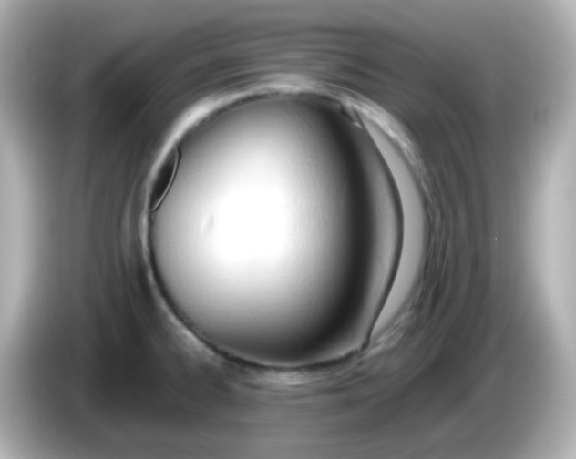 X0000086041334200704091144