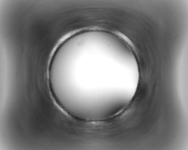 X0000086041335200704091144
