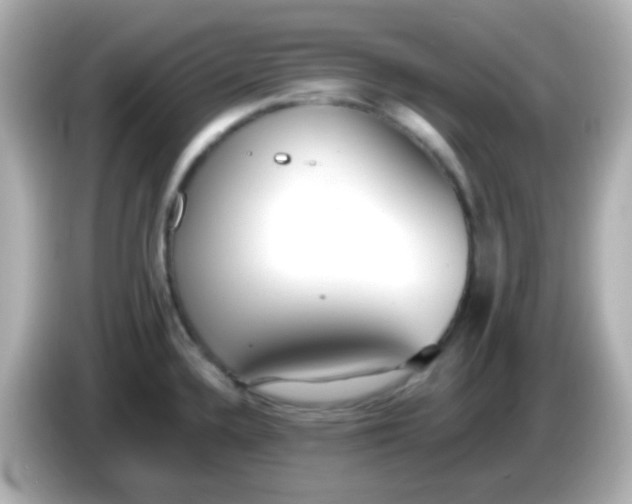 X0000086041336200704091144