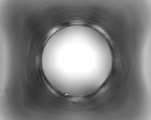 X0000086041337200704091144