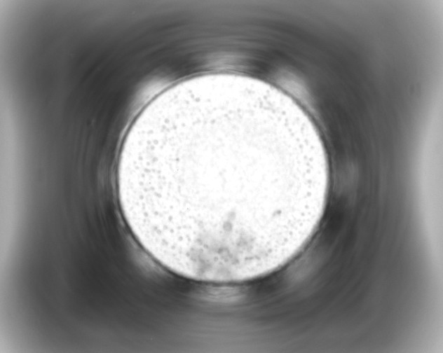 X0000086041338200704091144