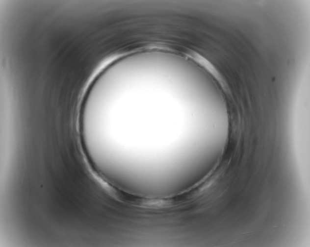 X0000086041339200704091144
