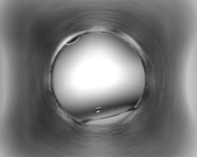 X0000086041340200704091144