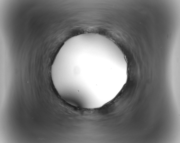 X0000086041345200704091143