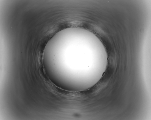 X0000086041346200704091143