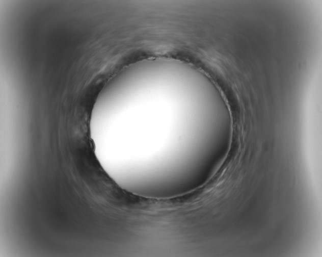 X0000086041349200704091143
