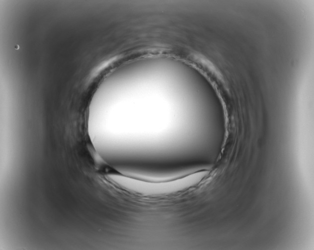 X0000086041352200704091143