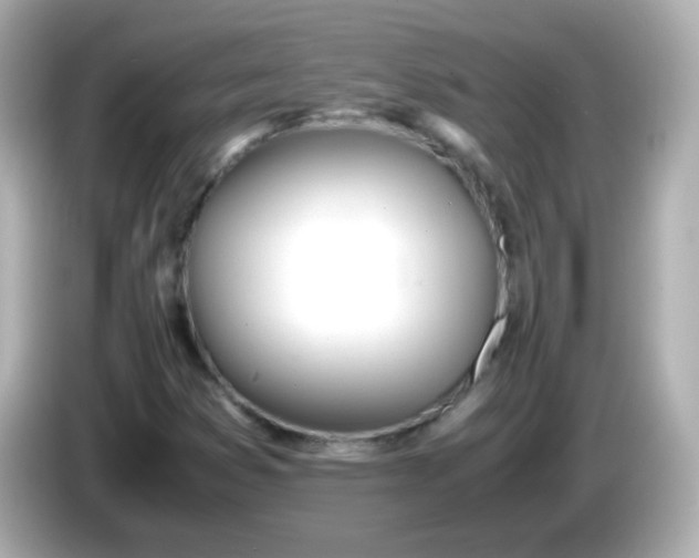 X0000086041353200704091143