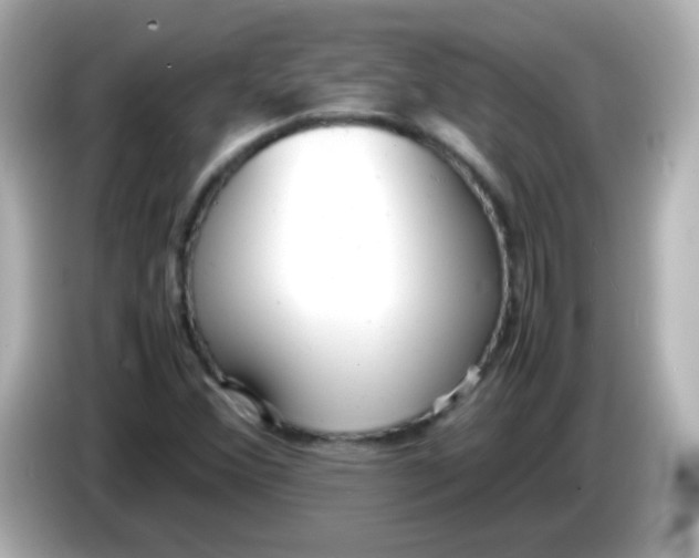 X0000086041356200704091143