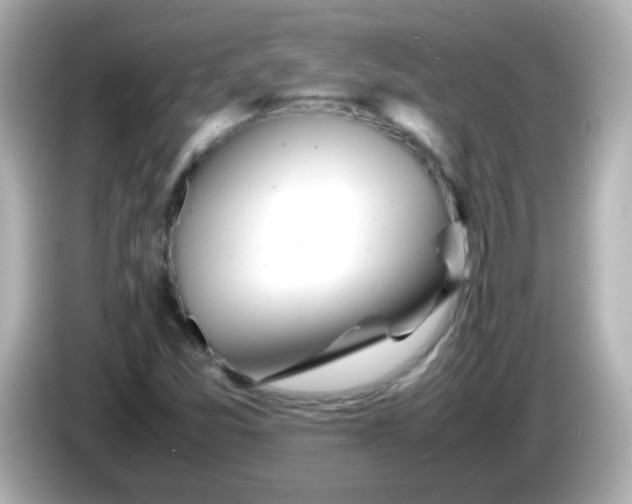 X0000086041357200704091143