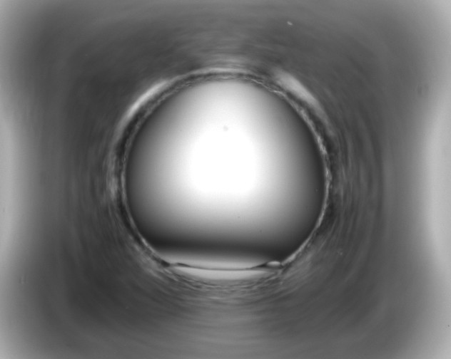 X0000086041360200704091143