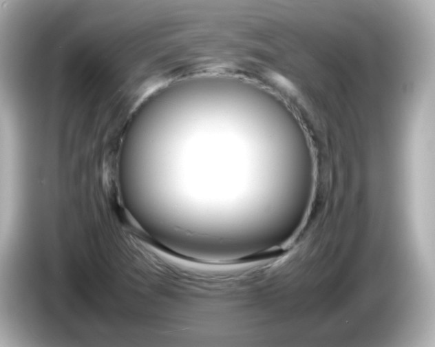 X0000086041361200704091143