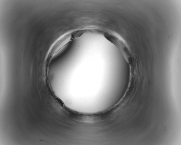 X0000086041364200704091143