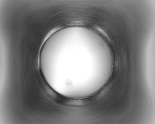 X0000086041370200704091143