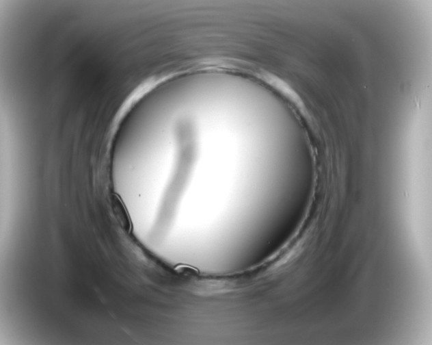 X0000086041373200704091143