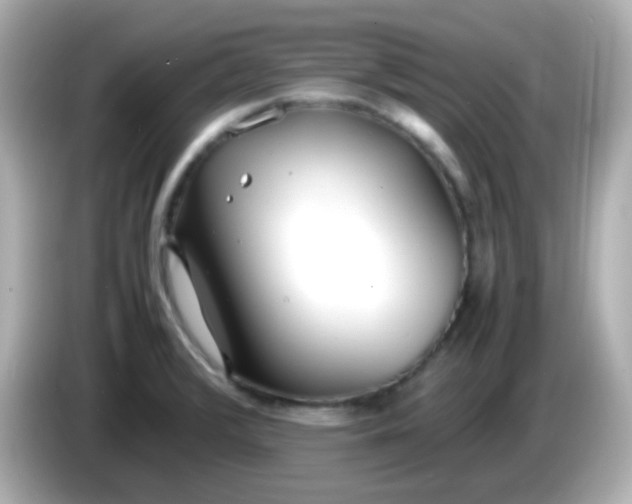 X0000086041376200704091143