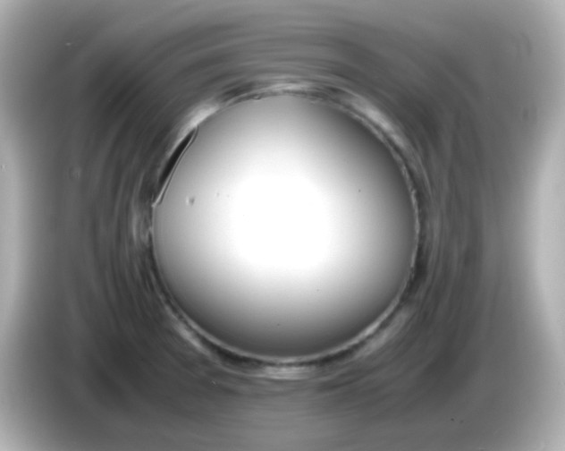 X0000086041377200704091143
