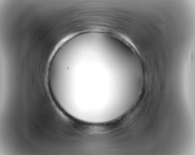 X0000086041379200704091143