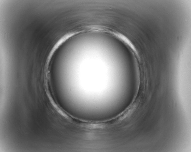 X0000086041381200704091143