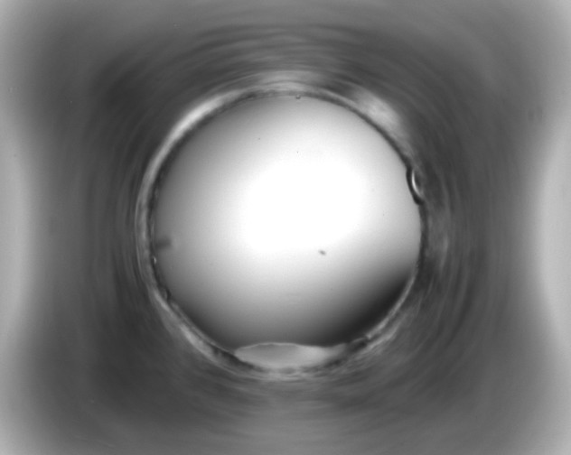 X0000086041384200704091143