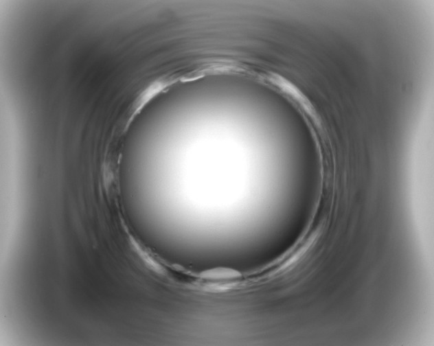 X0000086041385200704091143