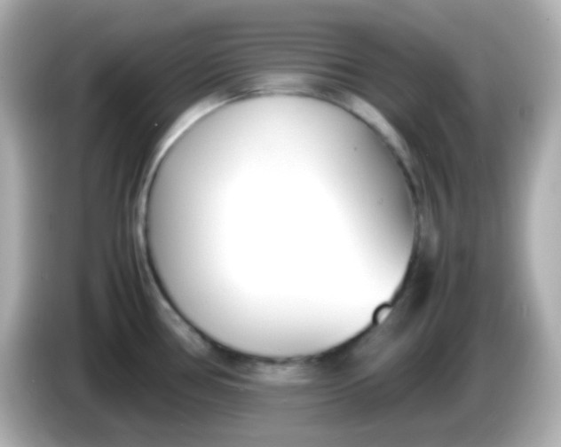 X0000086041386200704091143