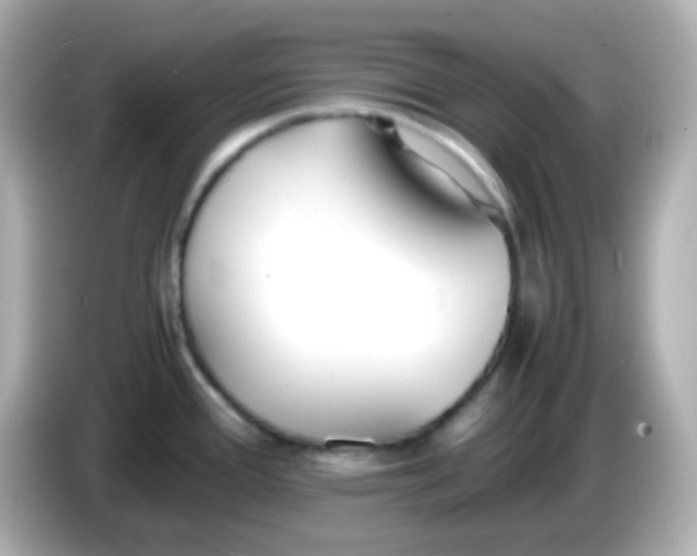X0000086041388200704091143