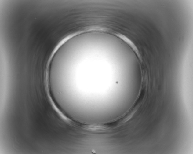 X0000086041391200704091143