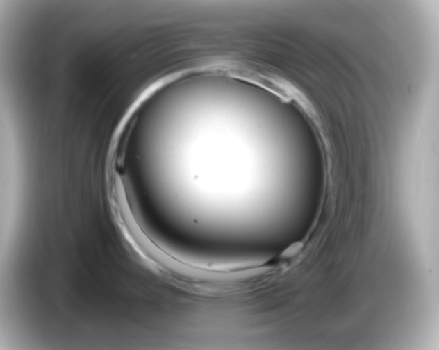 X0000086041392200704091143