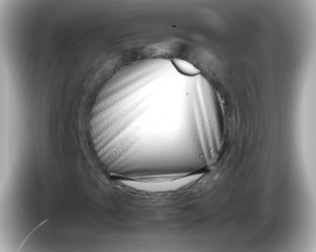 X0000086041393200704091142