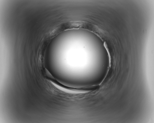 X0000086041394200704091142