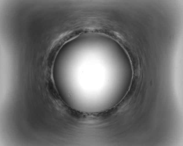 X0000086041398200704091142