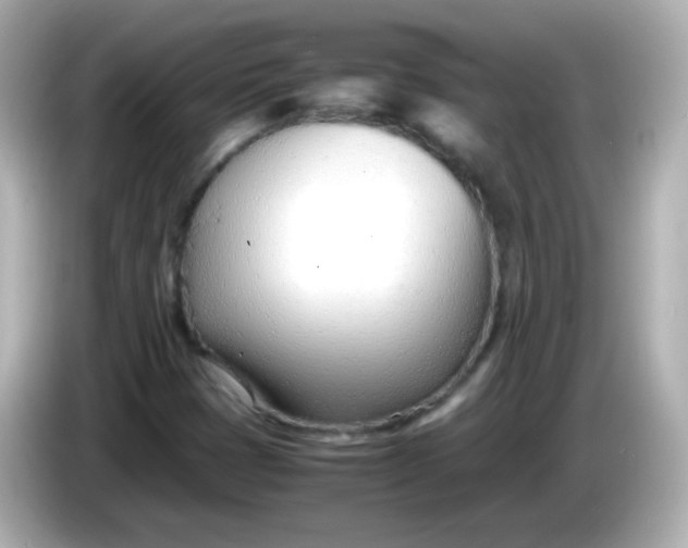X0000086041401200704091142