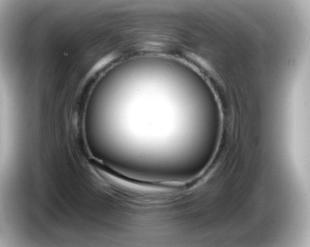 X0000086041402200704091142