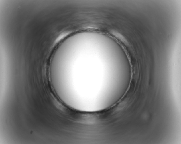 X0000086041404200704091142