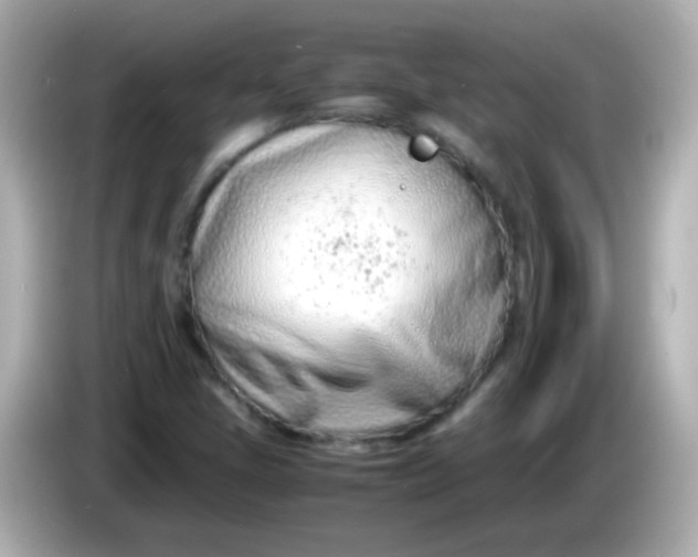 X0000086041405200704091142