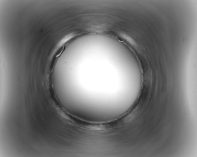 X0000086041410200704091142