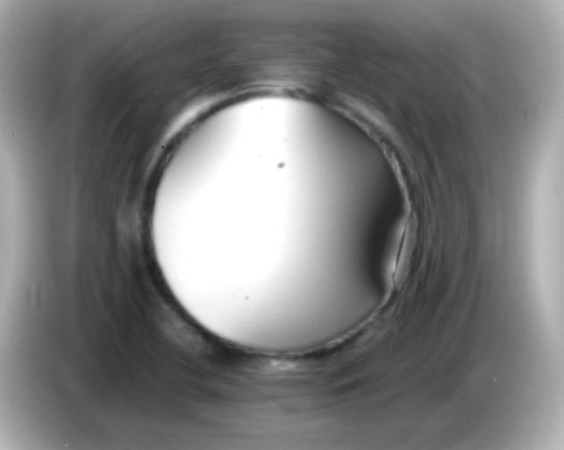 X0000086041412200704091142