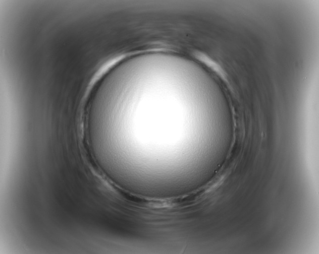 X0000086041415200704091142